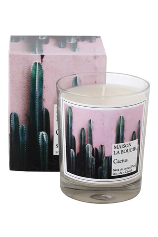 Geurkaars “Cactus”