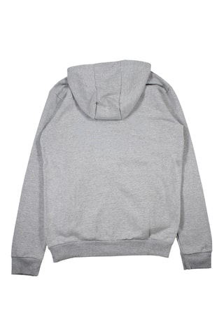 Felpa con cappuccio  - Grigio