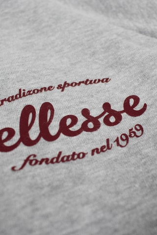 Felpa con cappuccio  - Grigio