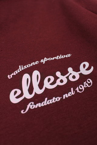 Maglia con cappuccio  - Bordeaux