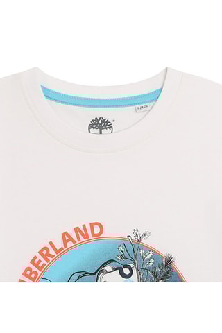Camiseta de algodón orgánico - Blanco - Timberland
