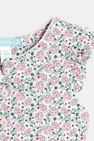 Mono - Violeta - Obaïbi