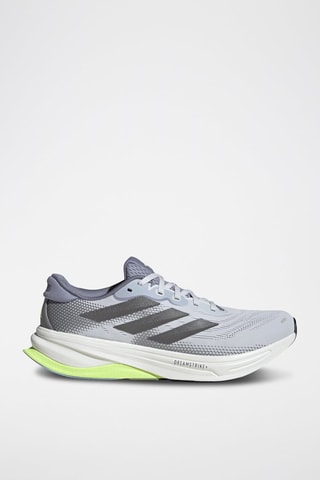 Chaussures de running Supernova Solution 2.0 - Gris