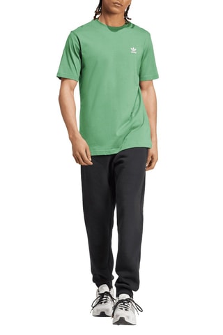 T-shirt standard Trèfle Essentials - Vert clair