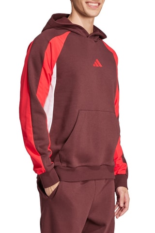 Sweat à capuche - Bordeaux