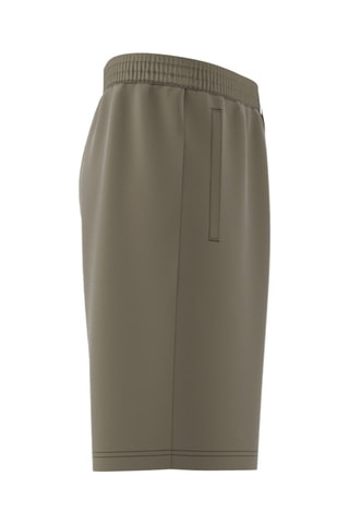 Short Essentials - Kaki