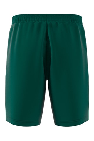 Short Colorblocked SST - Vert foncé et vert clair