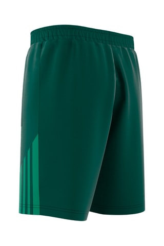 Short Colorblocked SST - Vert foncé et vert clair