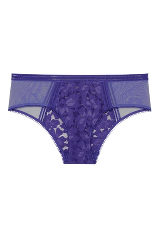 Shorty Gardenia - Violeta