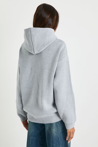 Sweater met Capuchon - Grijs