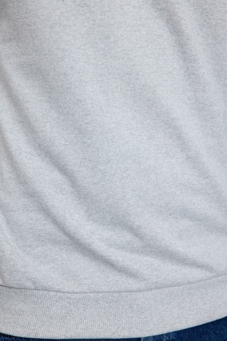 Sudadera regular fit - Gris