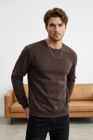 Sudadera regular fit - Marrón