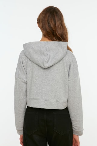 Sudadera con capucha - Gris claro jaspeado