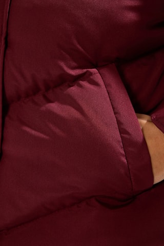 Chaleco regular fit - Burdeos