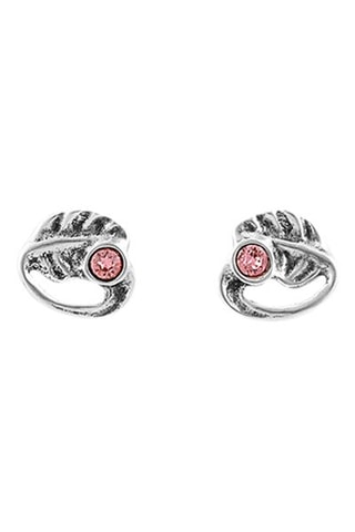 Orecchini a lobo - Placcato argento