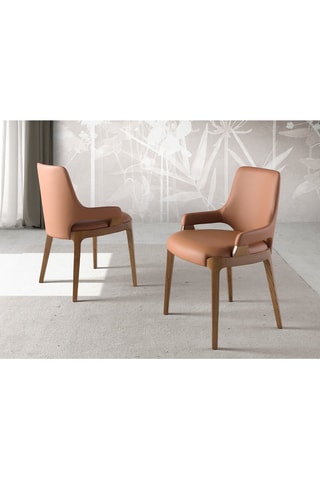 2 sedie in legno - 52 x 60 x 40 cm