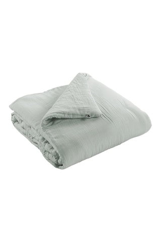 Trapunta Gaïa - Eucalipto