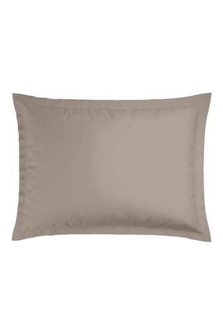 2 fundas de almohada de satén de algodón - 80 hilos/cm² - Topo - 50 x 70 cm