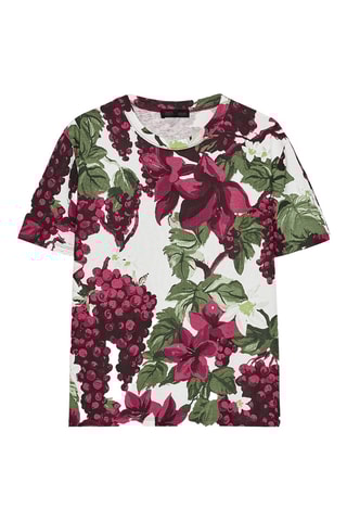 T-shirt - Blanc et bordeaux