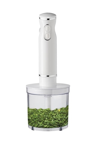 Batidora de mano multifunción - 500 ml - 600 W - 2 velocidades