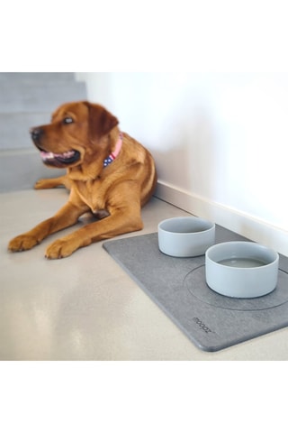 Gamelles céramique Set (2 pièces)  Diatomite - 2 x 400 ml