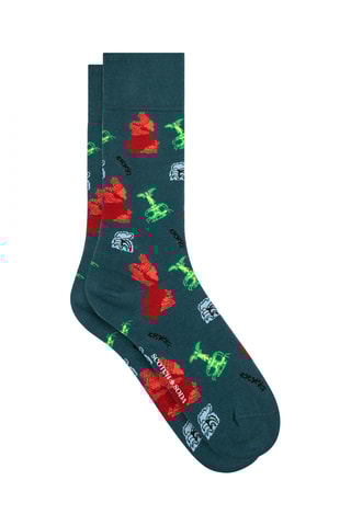 Chaussettes en coton biologique - Vert foncé