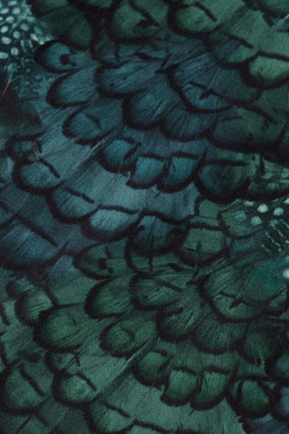 Combinaison - Bleu cobalt