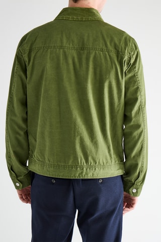 Veste - Vert