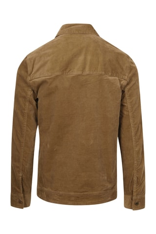 Surchemise regular en coton biologique - Marron