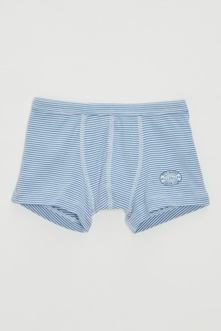 Boxer - Ciel et blanc