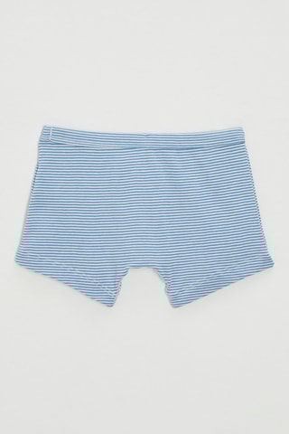 Boxer - Ciel et blanc