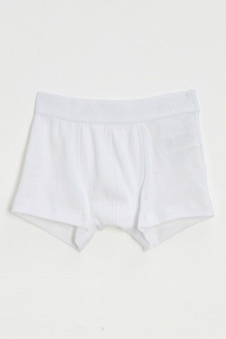 Boxer - Blanc