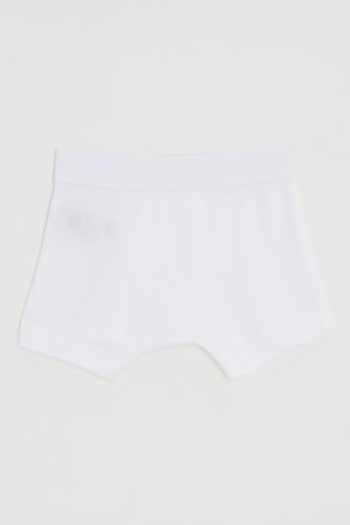 Boxer - Blanc