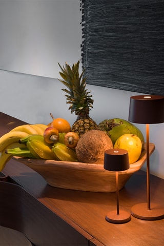 Candeeiro de mesa LED Olivia Micro - Castanho -­ 2,2 W