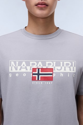 T-shirt S Aylmer - Cinzento