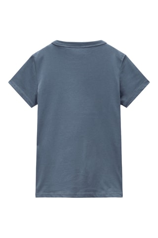 T-shirt K S-Chamois - Cinzento
