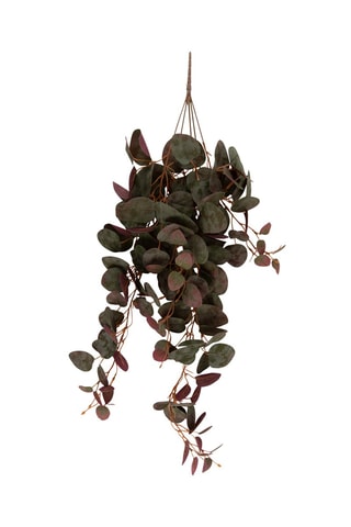 Plante artificiel suspendu Hanging Ceropegia - 20,3 x 20,3 cm