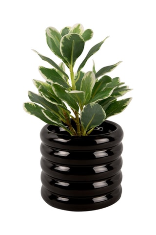 Cache-pot en céramique - 14,5 cm - Noir