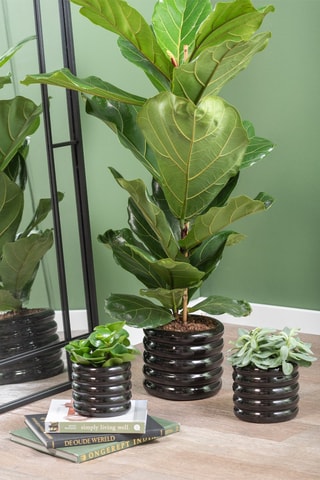 Cache-pot en céramique - 14,5 cm - Noir