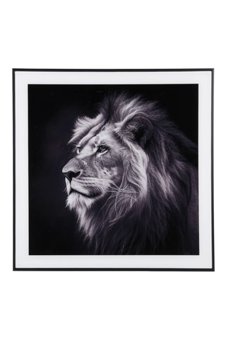 Tableau Lion - 50 x 50 cm