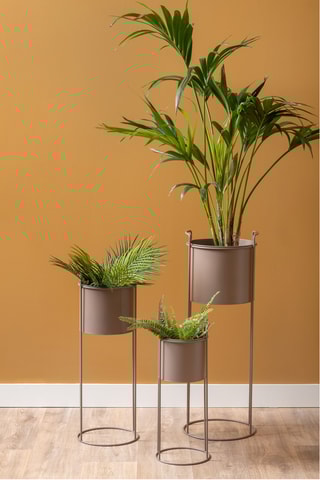 Pot à plantes Essence - 80 x 28 cm - Vert