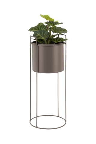 Pot à plantes Essence - 80 x 28 cm - Vert