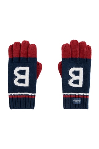 Gants - Bleu marine et bordeaux