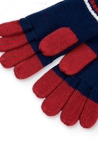 Gants - Bleu marine et bordeaux