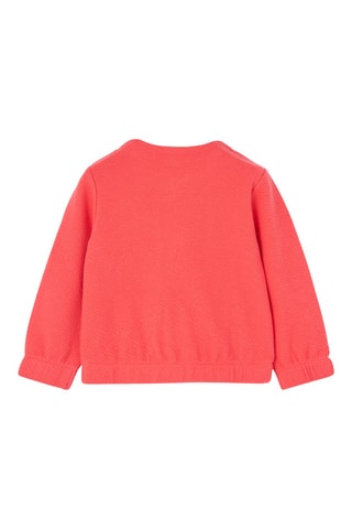 Veste - Corail