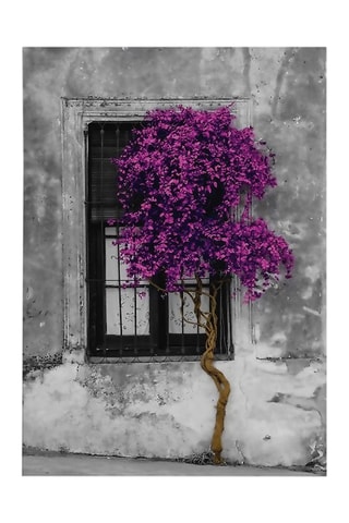 Tableau - 50 x 70 cm