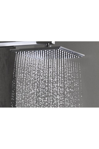 Bras et douche de tête