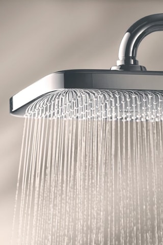 Douche de tête Vitalio Comfort 250