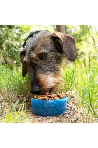 Garrafa 2 em 1 para animais de estimação - 300 e 200 ml