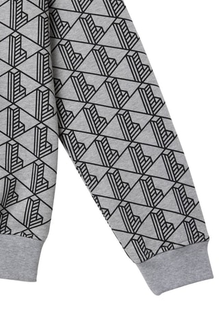 Sweat à capuche - Noir et gris